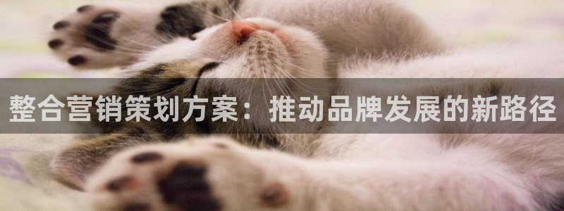 必赢网址 登录
