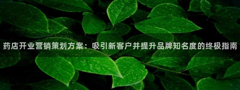 必赢3003平台