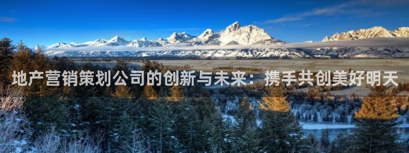 必赢集团网站是什么