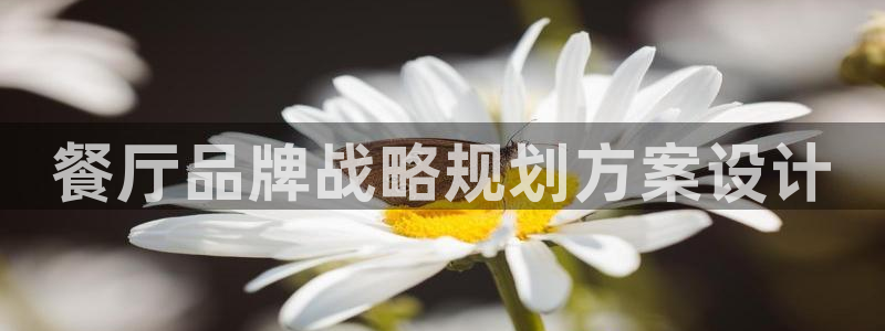 必赢九五