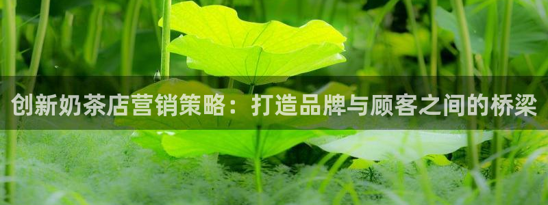 必赢资讯下载