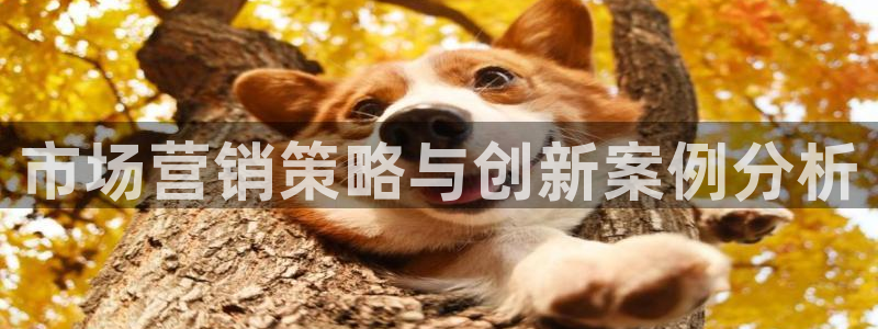 必赢网址谁知道的