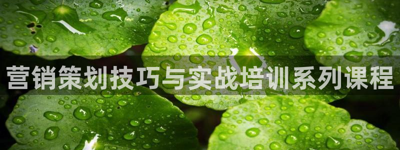 必赢565net官网网站