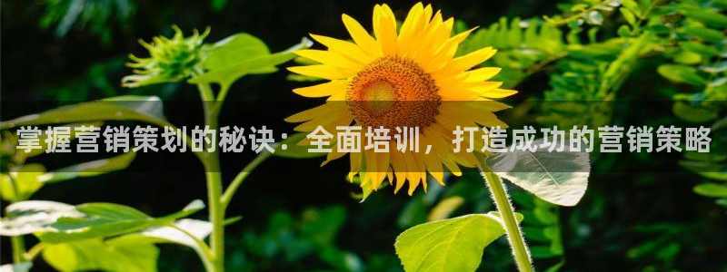 必赢qp