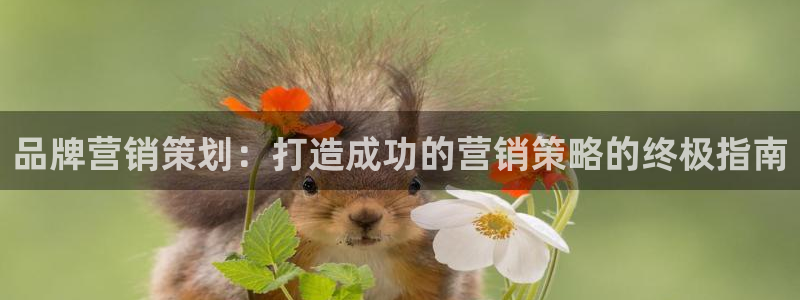 必赢app客户端下载官网手机版