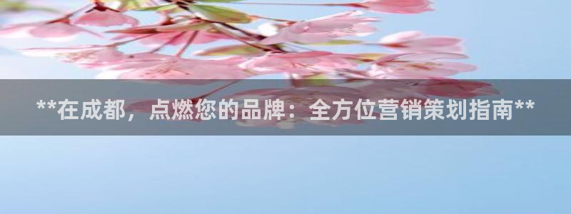 必赢棋盘官网版