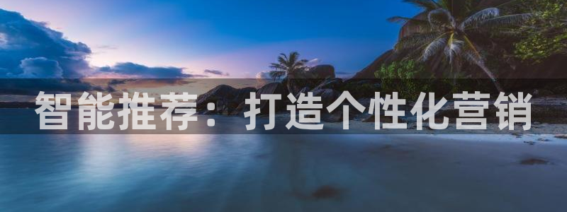必赢科技中国有限公司