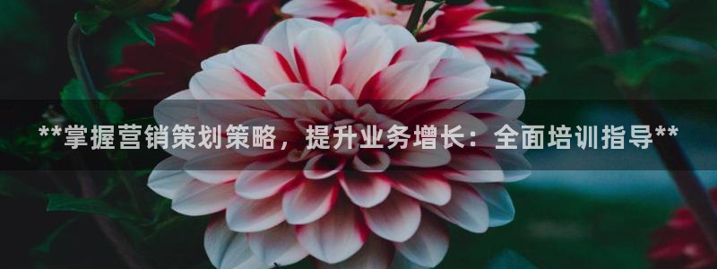 必赢手机app下载最新版安卓苹果