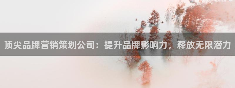必赢集团怎么样