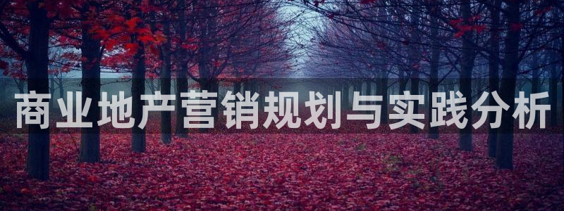 必赢网站是多少啊