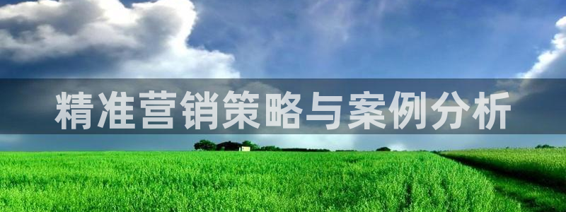 必赢手机版官网