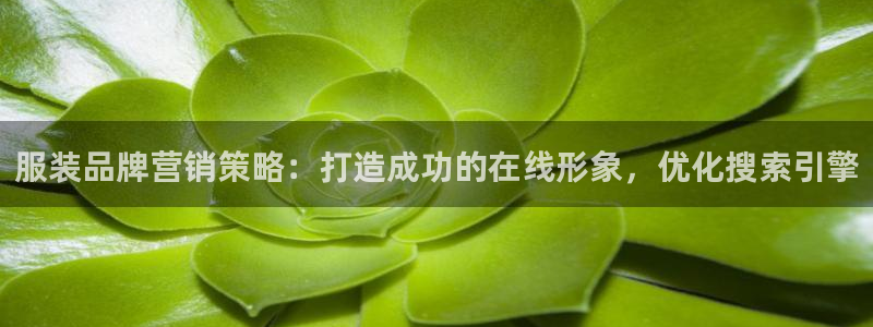 必赢这个软件怎么样啊