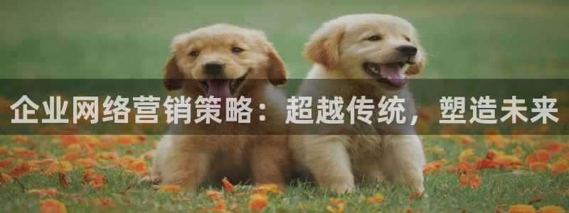 必赢国际游戏技巧
