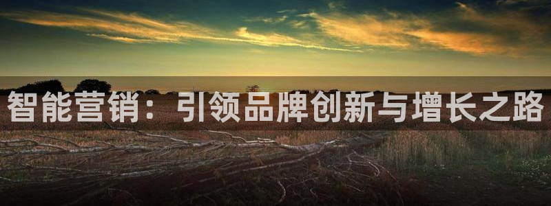 必赢365官方网登录