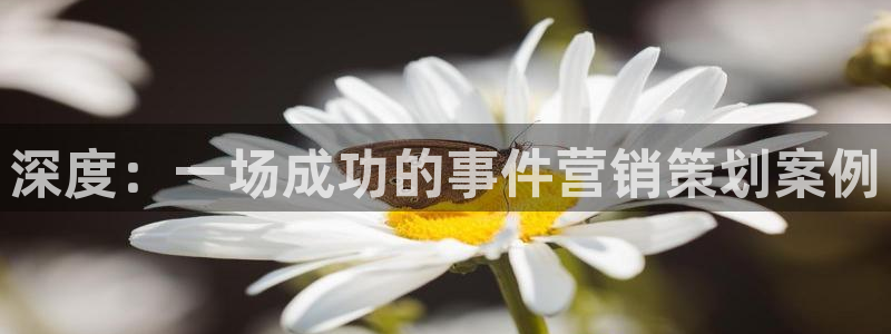 必赢7231