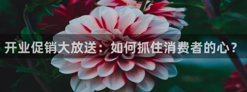必赢网址官网