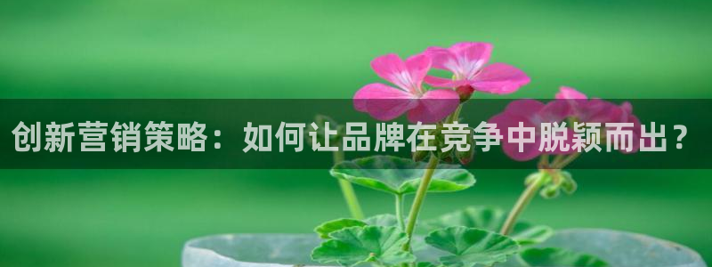 必赢国际app下链接：创新营销