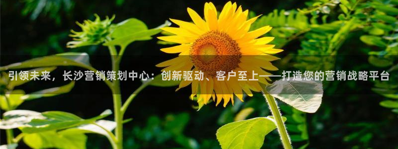 必赢app官方