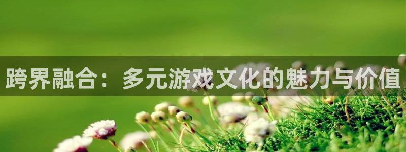 必赢官网网站：跨界融合：多元游