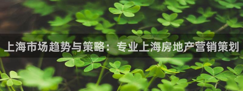 必赢官网app下载安装苹果