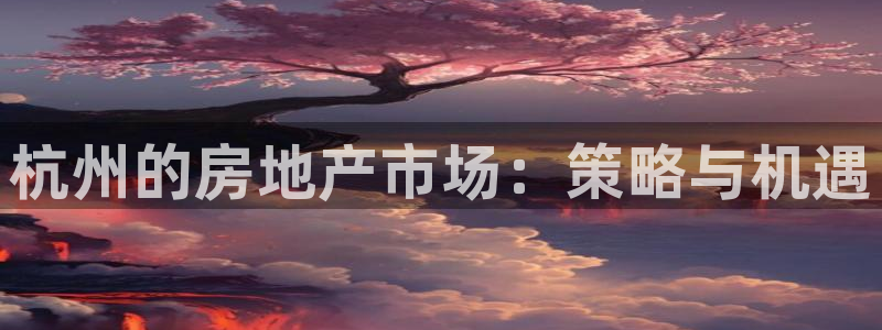 必赢公司是怎样的一家企业：杭州