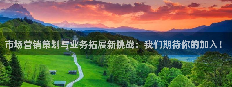 必赢必赢：市场营销策划与业务拓