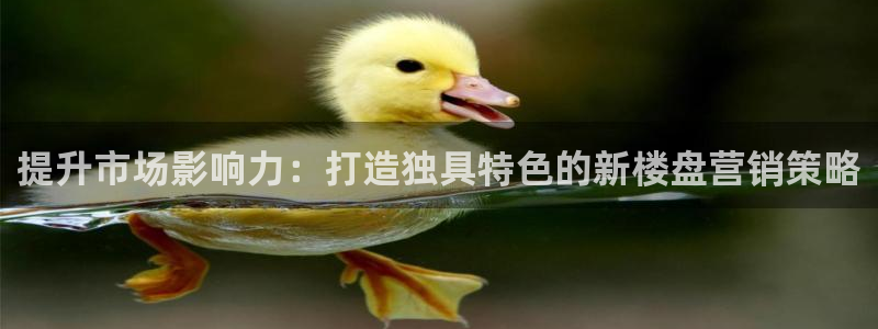 必赢88：提升市场影响力：打造
