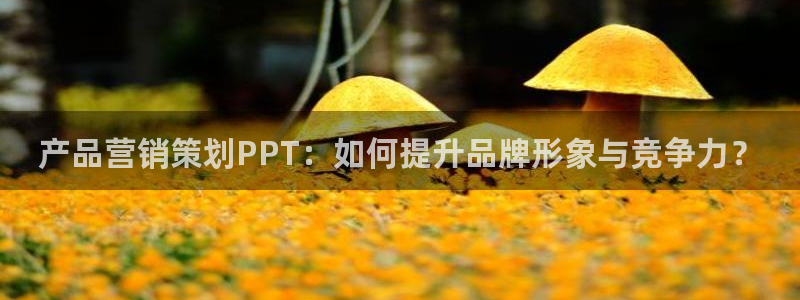 必赢资讯下载：产品营销策划PP
