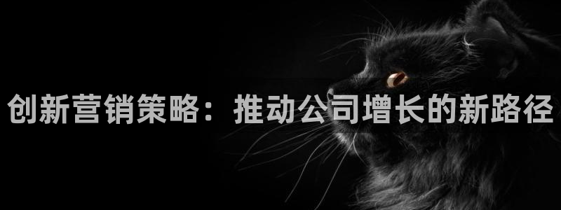 必赢亚赢网站官网下载安卓版