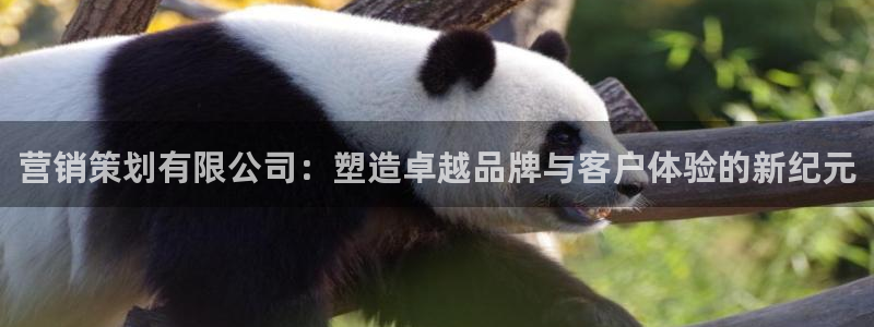 必赢国际437pay,comapp