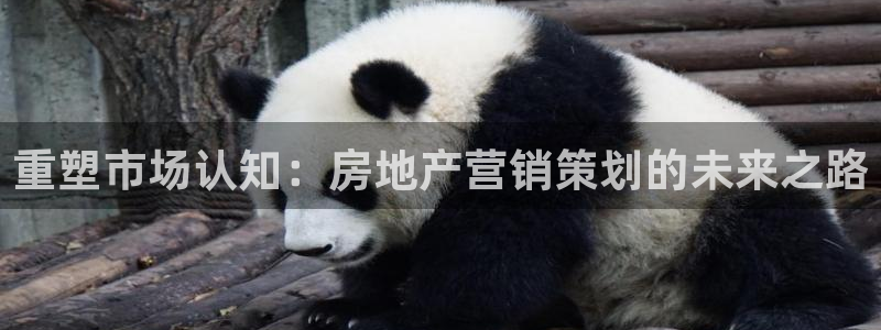 必赢手机app下载最新版安卓苹果可以用吗