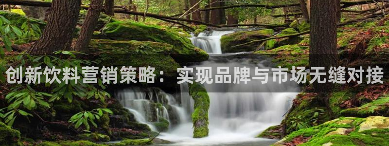 必赢平台官方网站登录