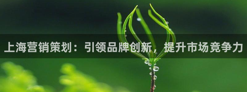 必赢手机app下载最新版本安装