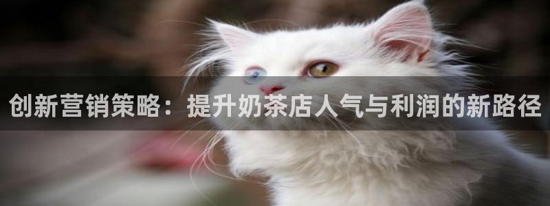 9965必赢苹果下载