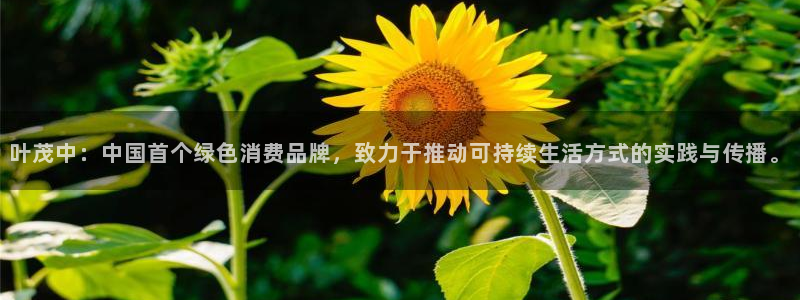 必赢网址谁知道的：叶茂中：中国